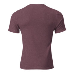 unisex tri blend t shirt maroon triblend back 69ee021ef100a.jpg